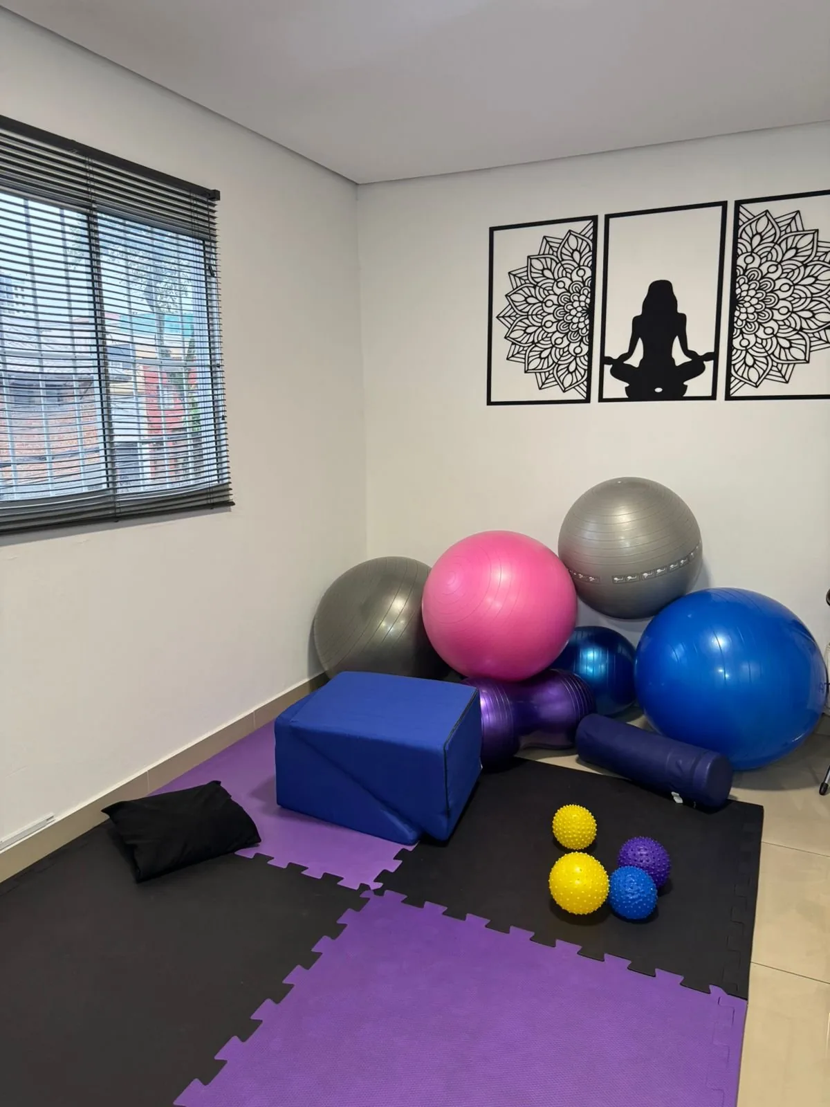 Materiais de fisioterapia pélvica da Lumière: bolas, rolos e blocos de exercício