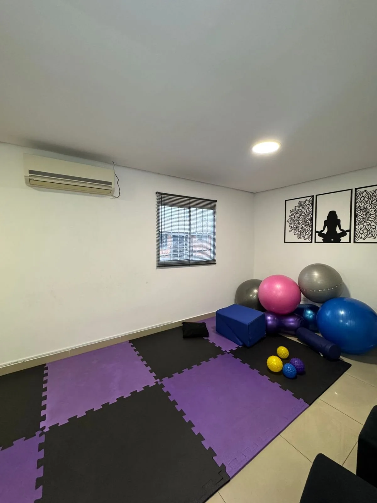 Sala de exercícios da Lumière com tatame e bolas de exercício